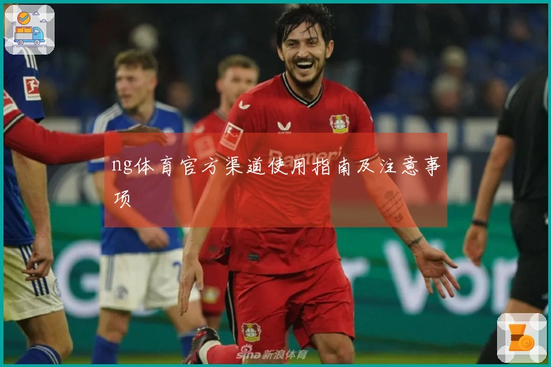 ng体育官方渠道使用指南及注意事项