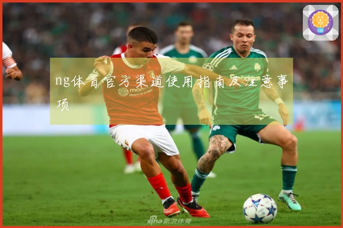 ng体育官方渠道使用指南及注意事项