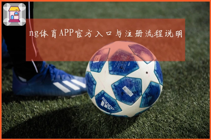 ng体育APP官方入口与注册流程说明