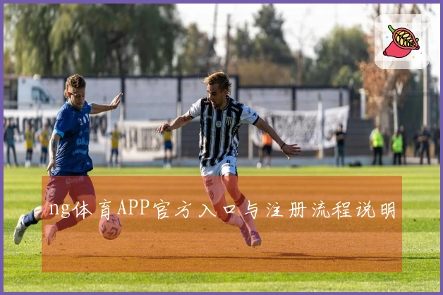 ng体育APP官方入口与注册流程说明